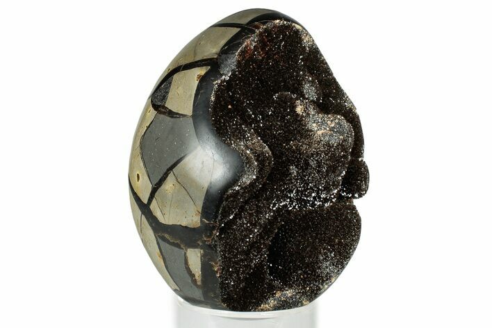 Septarian Dragon Egg Geode - Sparkly Black Crystals #329498